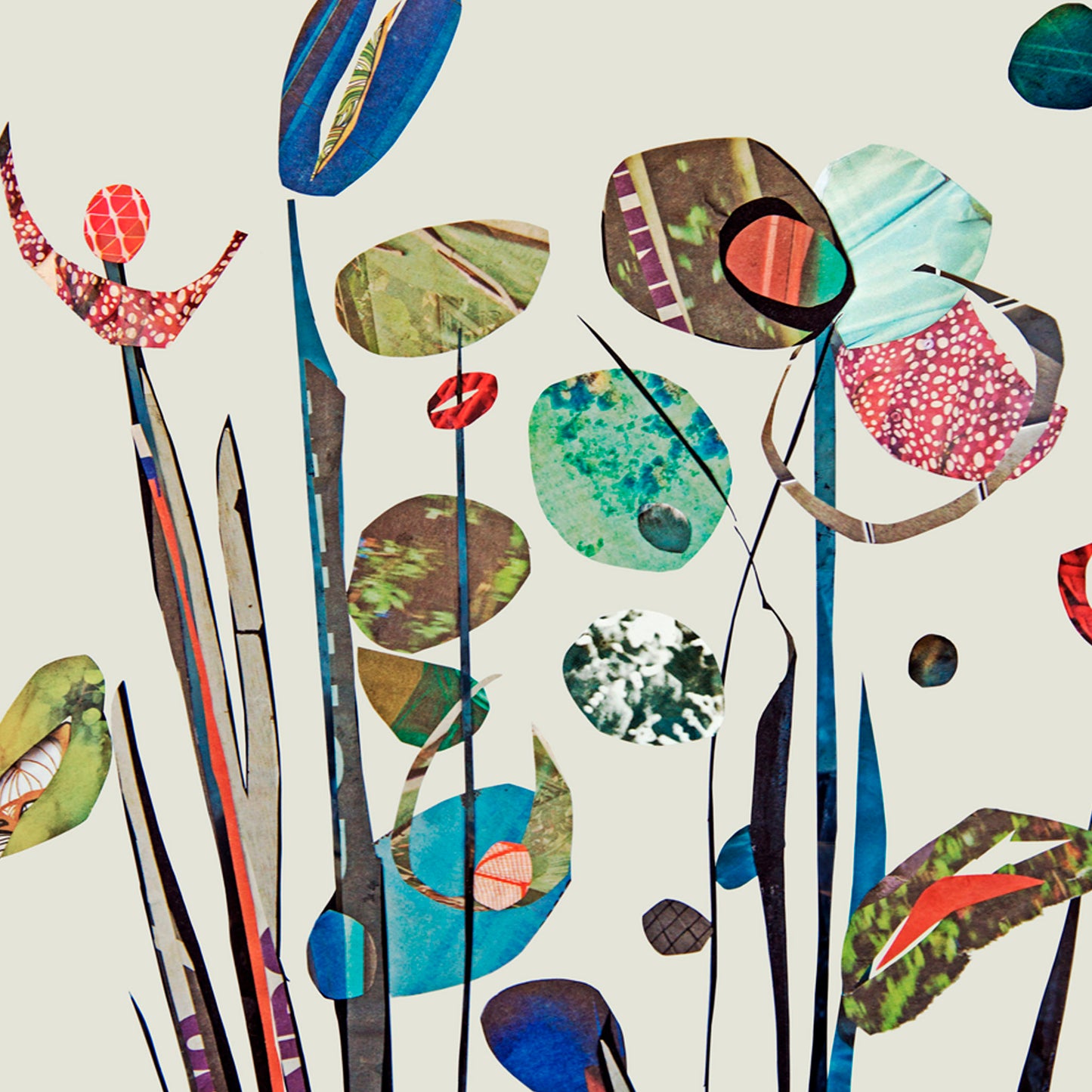 Flower stems