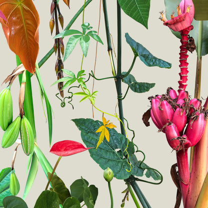 Tropical flora I - sob encomenda